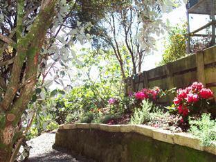 Tombstone Motel, & Backpackers *